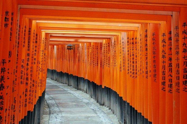 Nara and Uji Private Custom Tour from Kyoto