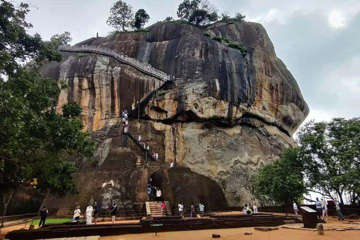 Colombo to Sigiriya and Minneriya Safari Day Tour
