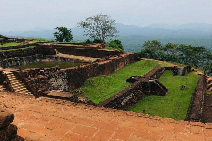 Colombo to Sigiriya and Minneriya Safari Day Tour