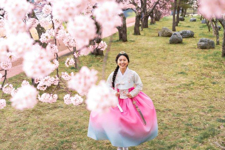 Jeonju Hanok Village and Plum Blossom Festival Shared Tour