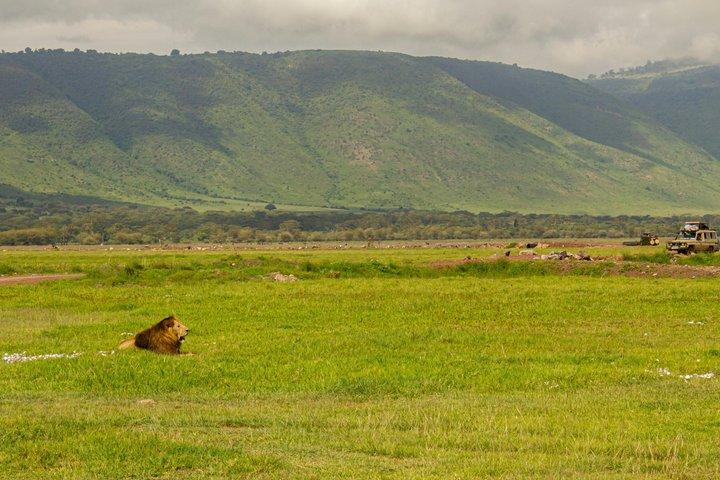 4 Day Tanzania Safari Tarangire Ngorongoro and Lake Manyara