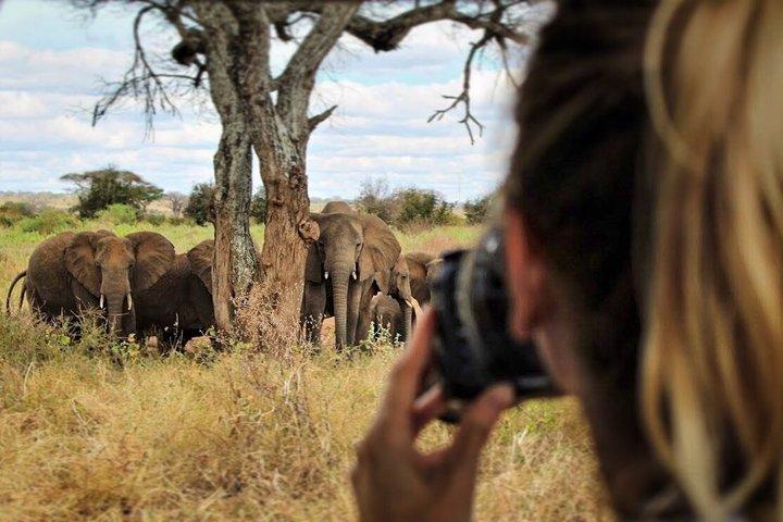 Tarangire National Park Day Trip