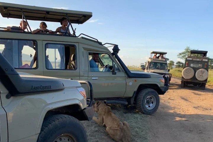 3 Days Maasai Mara Big Five Great Wildebeest Experience