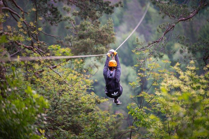 Lake Bled 7-Line Alpine Zipline Adventure