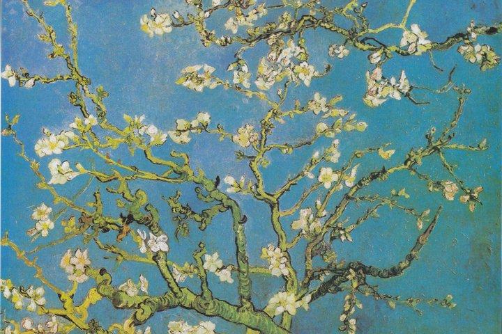 Amsterdam Van Gogh Museum Guided Or Multimedia Tour