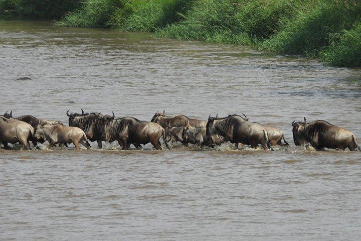 The Great Migration Multiday Private Tour in Serengeti