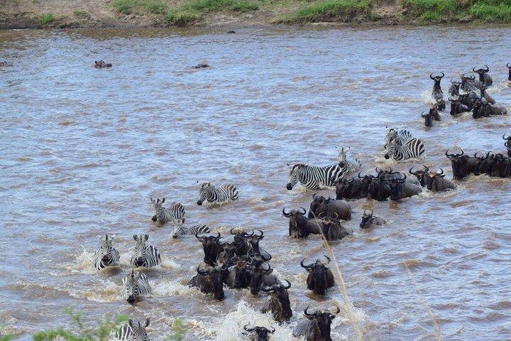 The Great Migration Multiday Private Tour in Serengeti