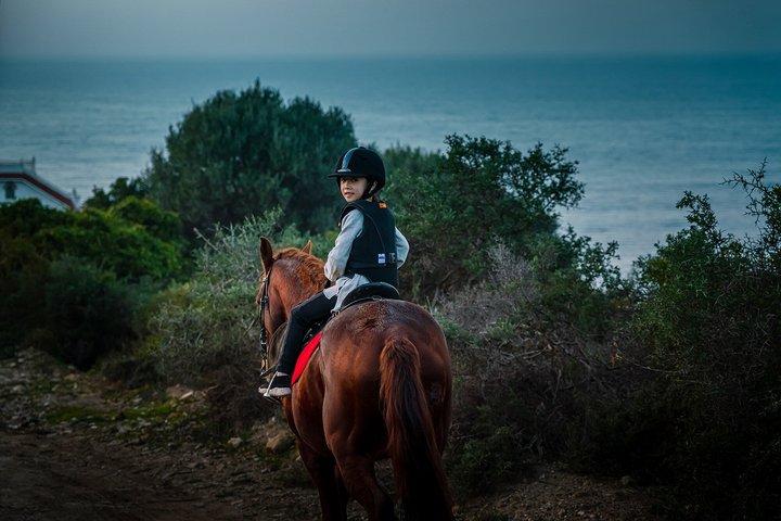 Tangier Mountain and Sea Horseback Riding Adventure