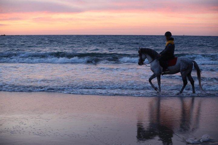 Tangier Mountain and Sea Horseback Riding Adventure