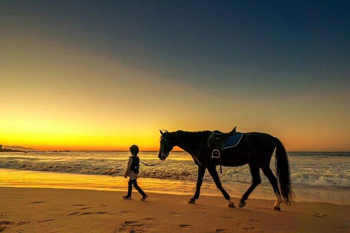 Tangier Mountain and Sea Horseback Riding Adventure