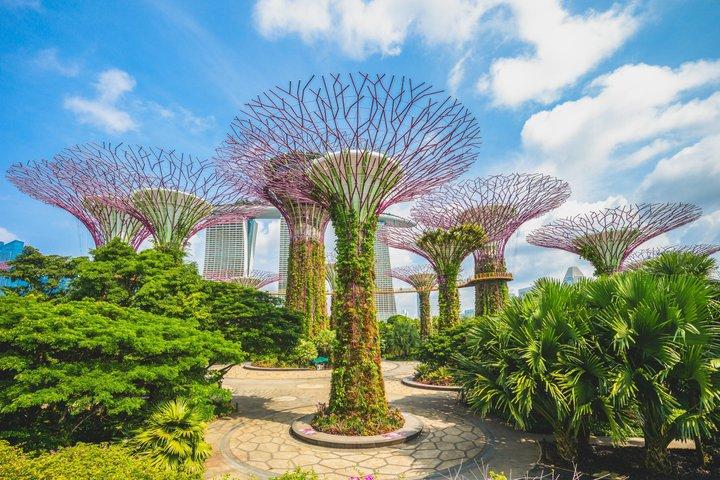Singapore Private Half Day City Tour