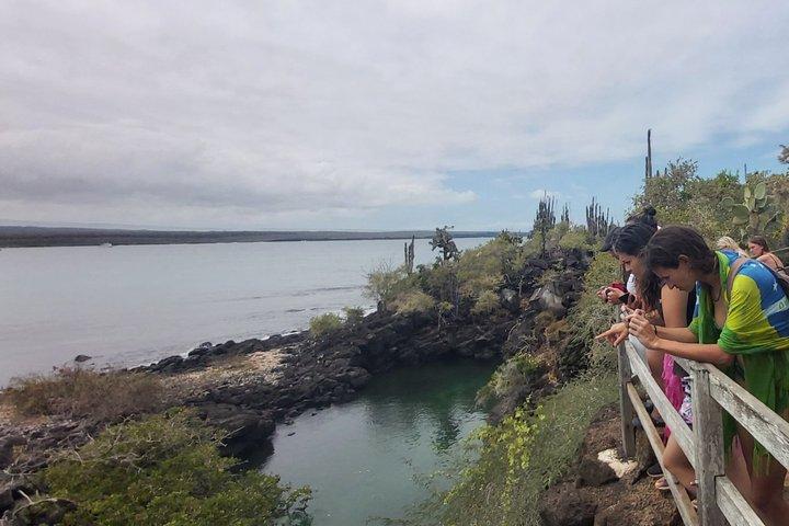 Santa Cruz Galapagos Bay Expedition