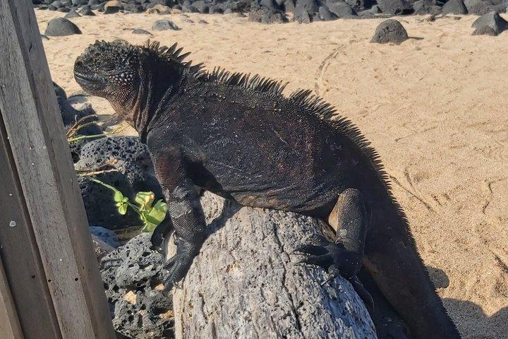 Santa Cruz Galapagos Bay Expedition