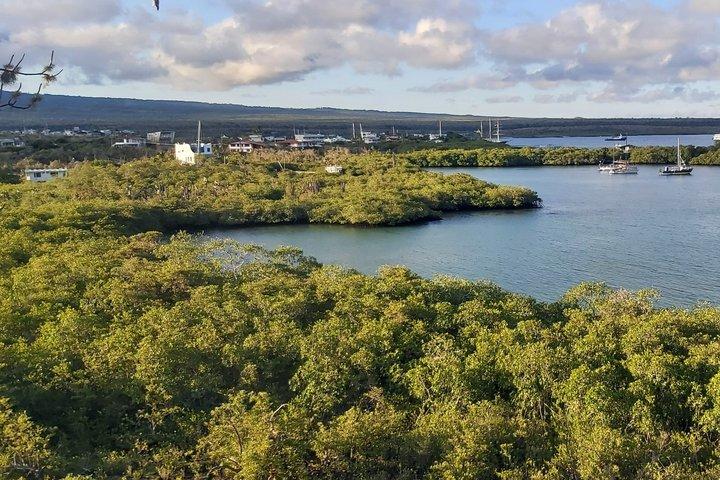 Santa Cruz Galapagos Bay Expedition