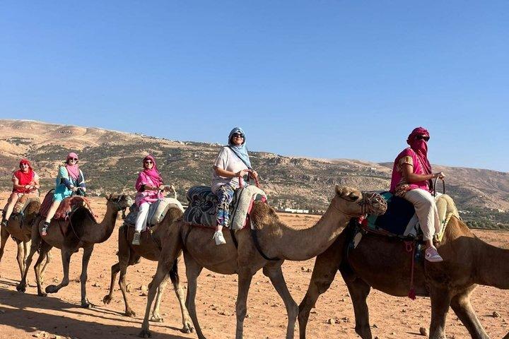 High Atlas Berber villages & Dromadair backpacking