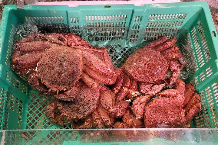 Tokyo Tsukiji Fish Market: Traditional Culture & Street Food Tour