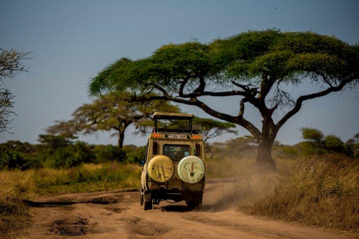 6 Day Private Camping Safari in Tanzania from Kilimanjaro Airport