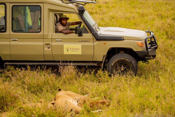 6 Day Private Camping Safari in Tanzania from Kilimanjaro Airport