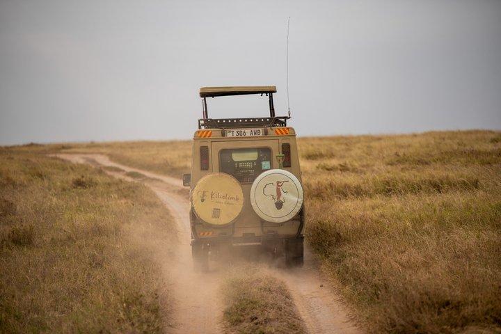 6 Day Private Camping Safari in Tanzania from Kilimanjaro Airport