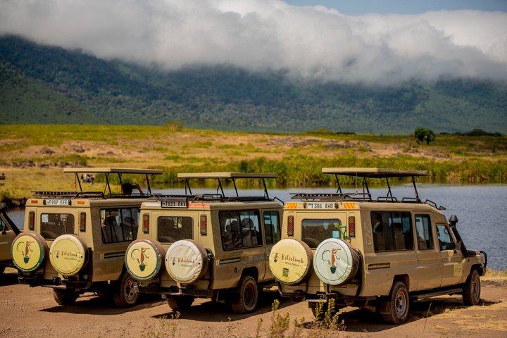 7 day Private Camping Safari In Tanzania