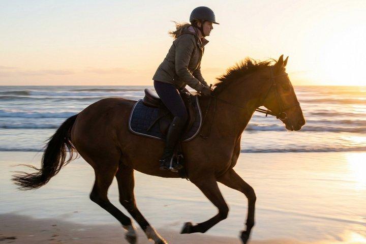Taghazout & Agadir Beach Horse Riding Experience – Scenic Sunset
