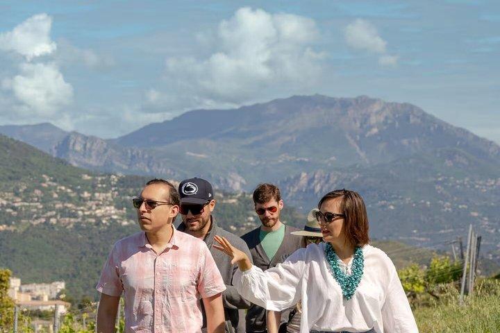 Vineyard Tour with Wine Tasting in Nice