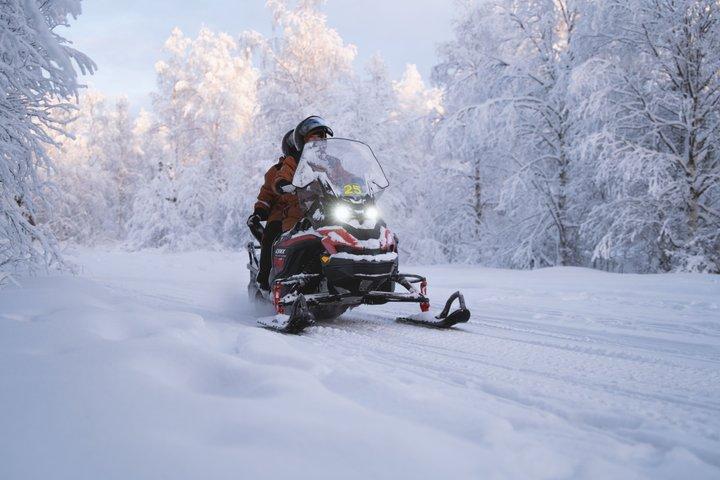 Snowmobile Safari to Arctic Nature