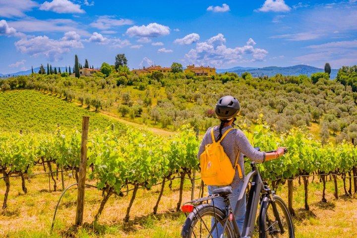 Tuscan Hills E-Bike Tour with Farm Experience and Lunch