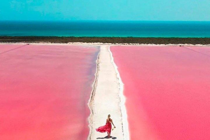 Rio Lagartos and Las Coloradas Pink Lakes Boat Tour from Cancun
