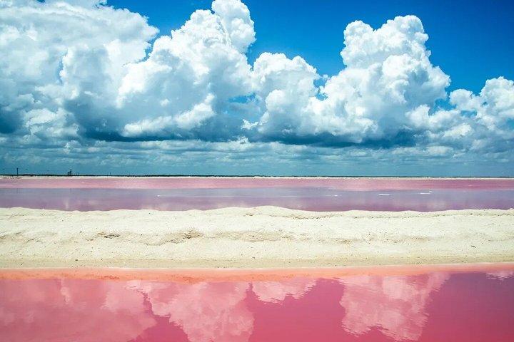Rio Lagartos and Las Coloradas Pink Lakes Boat Tour from Cancun
