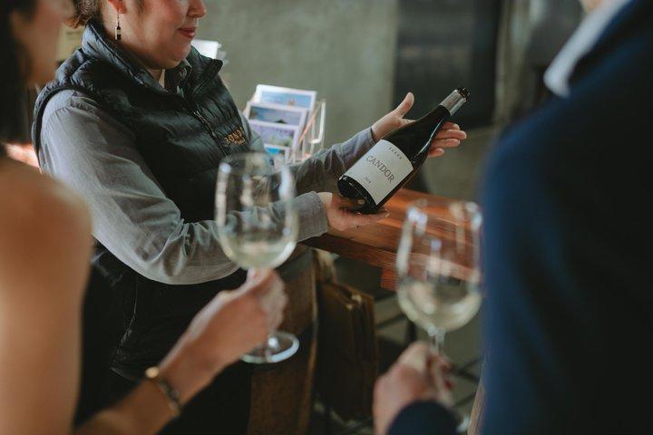 VIP Tasting: Wines from Rondo del Valle in an Underground Cellar