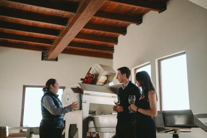 VIP Tasting: Wines from Rondo del Valle in an Underground Cellar
