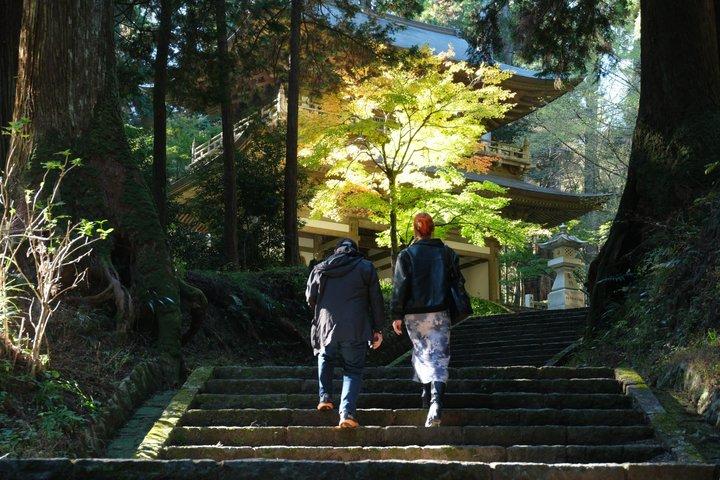 Forest Bathing in Temple and Enjoy onsen with healing power
