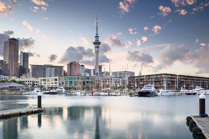 Auckland City Half Day Small Group Tour - Best Spots