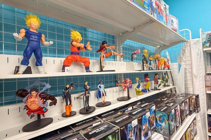 Akihabara Anime & Game Adventure Walking Tour (Group or Private)
