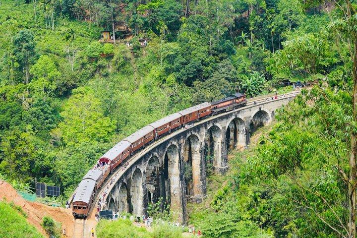 Day Tour at Sri Lanka Elephant Transit , Train Ride and Nine arch