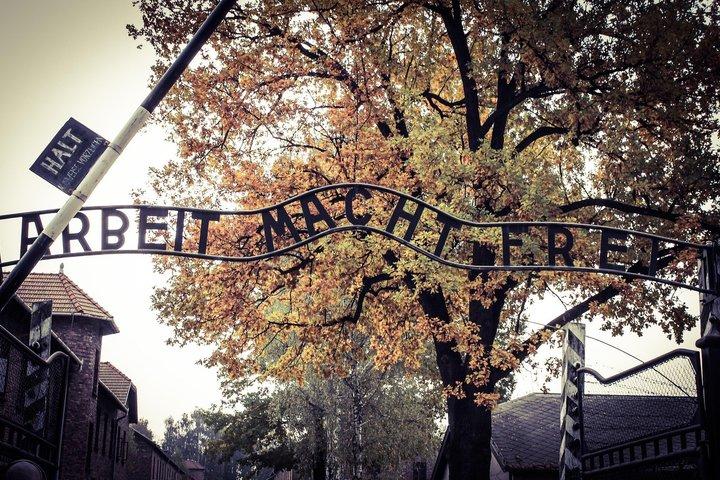 Auschwitz Birkenau Guided Tour Tickets and Transfer from Krakow
