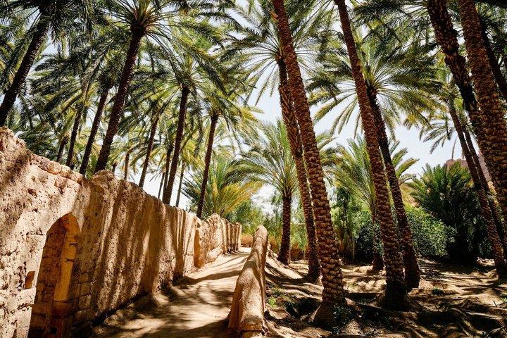 AlUla Solo Explorer Full Day Cultural Experience