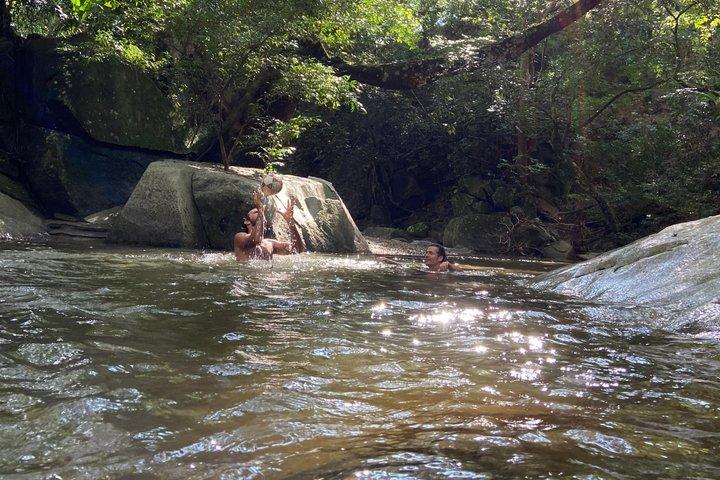 Chocolate: From tree to the bar, in Sierra Nevada de Santa Marta