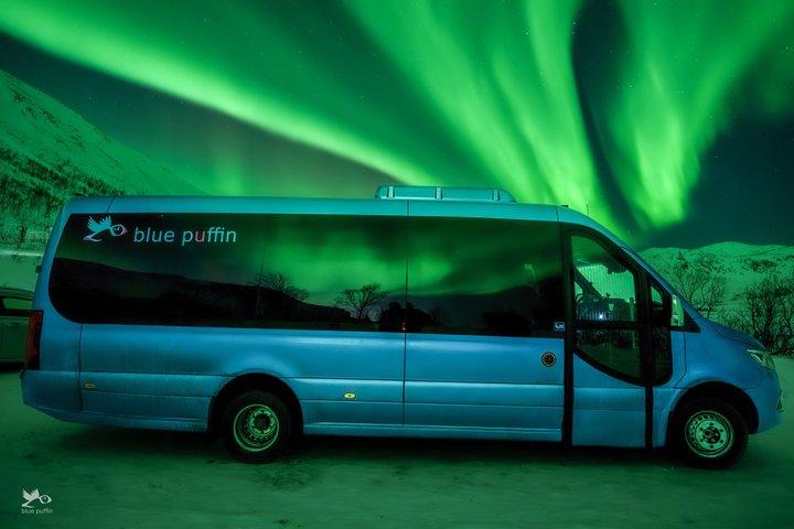 Tromsø: Northern Lights by Minibus - Free Photos and Warm Dinner