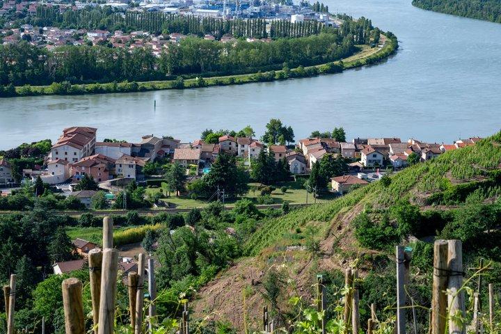 Northern Rhône Valley Wine Private Tour from Lyon