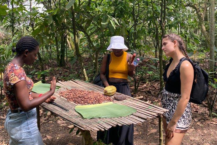 Waterfalls Day Tour/ Aburi Gardens and Cocoa Farms