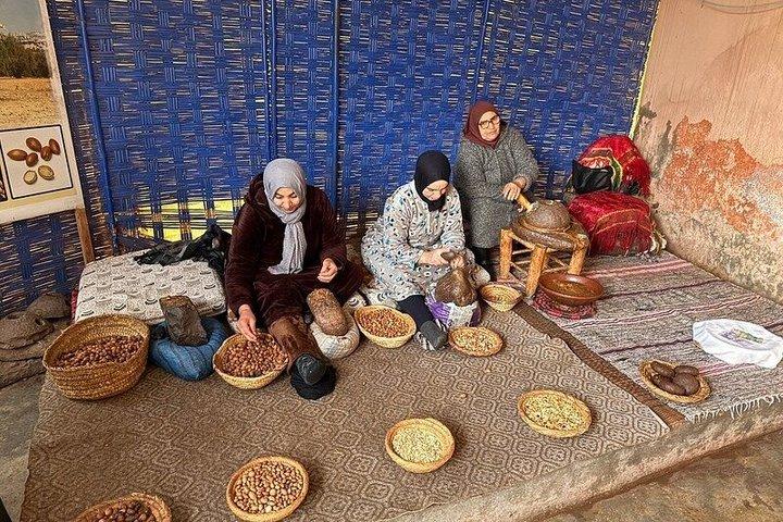 Marrakech: Atlas Mountains, Imlil Valley & Waterfalls Tour