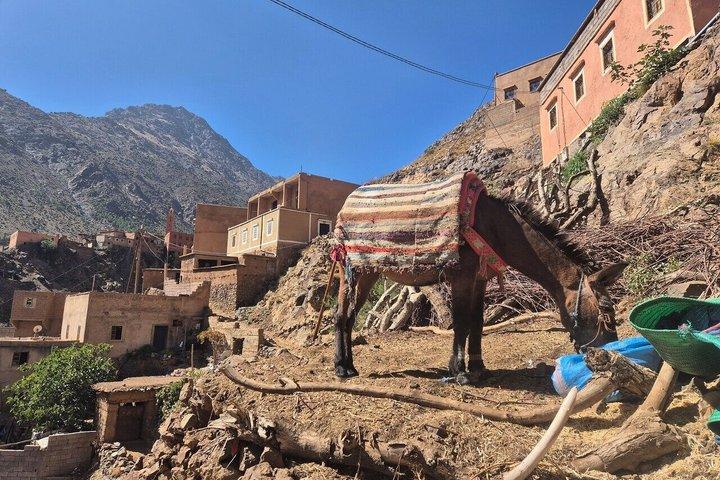 Marrakech: Atlas Mountains, Imlil Valley & Waterfalls Tour