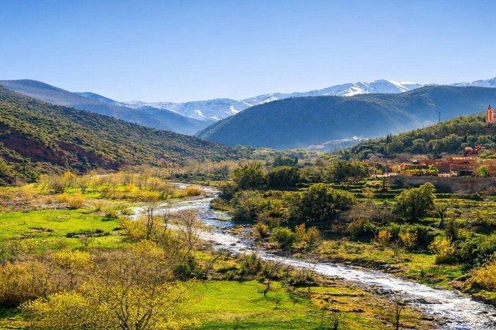Marrakesh: Ourika Valley & Atlas Mountains, Waterfalls with Lunch