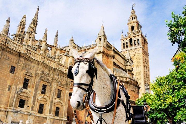 Seville Cathedral & Giralda tour with Priority Tickets