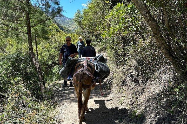 Discover Akchour Waterfalls and Mountains Farms