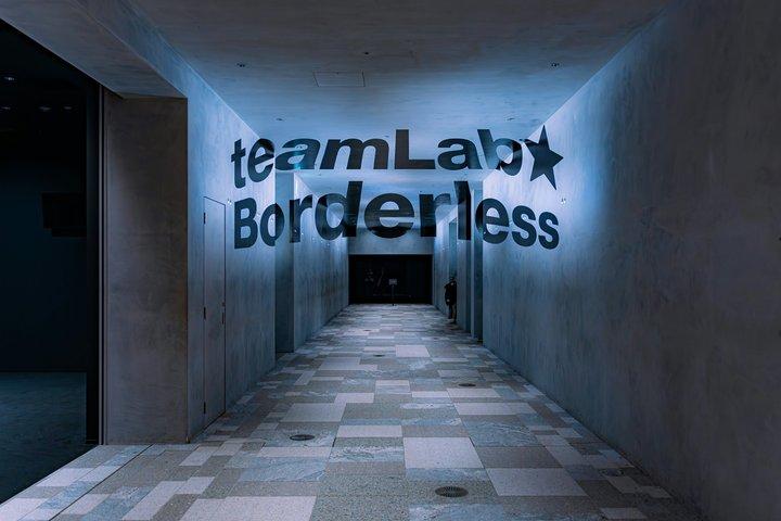 Tokyo Private Tour: teamLab Borderless & Tokyo City View