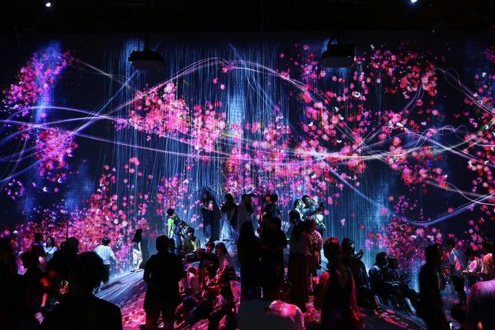 Tokyo Private Tour: teamLab Planets & Tsukiji Market