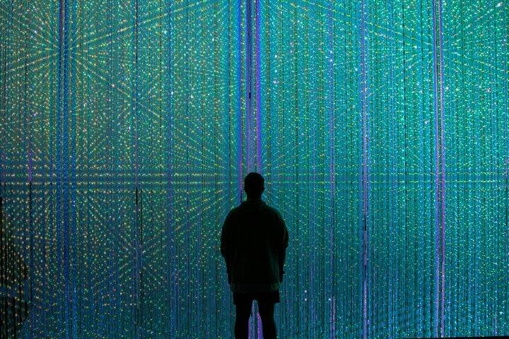 Tokyo Private Tour: teamLab Borderless & Imperial Palace